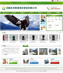 專業企業網站建設方案 龍訊助力網站規劃設計